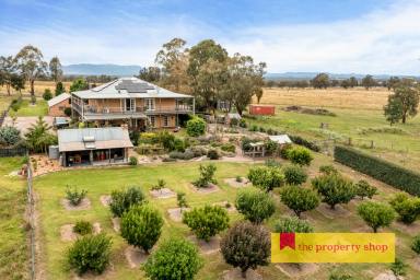 Lifestyle Sold - NSW - Rylstone - 2849 - PREMIER RURAL LIVING ON RYLSTONE'S DOORSTEP  (Image 2)
