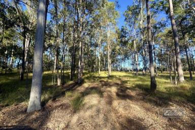 Residential Block For Sale - QLD - Bauple - 4650 - YOUR SLICE OF COUNTRY LIFE AWAITS!  (Image 2)