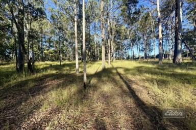 Residential Block For Sale - QLD - Bauple - 4650 - YOUR SLICE OF COUNTRY LIFE AWAITS!  (Image 2)