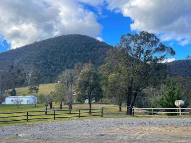 Acreage/Semi-rural For Sale - VIC - Tubbut - 3888 - Rural Retreat with Reserve Frontage to the Deddick River – 9.8 Acres of Serenity  (Image 2)