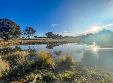 Residential Block For Sale - NSW - Lyndhurst - 2797 - 8acres* - Build Here – Power & Town Water Connected!  (Image 2)