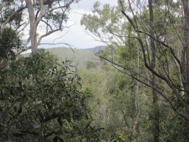 Lifestyle For Sale - NSW - Drake - 2469 - THE PERFECT POCKET  (Image 2)