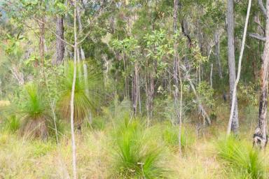 Lifestyle For Sale - NSW - Drake - 2469 - VACANT AND READY (Image 2)