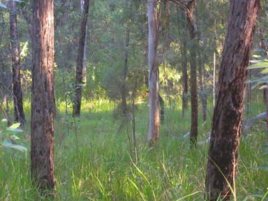 Lifestyle For Sale - NSW - Drake - 2469 - THE PERFECT POCKET  (Image 2)
