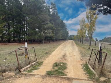 Lifestyle For Sale - NSW - Adaminaby - 2629 - Rural Splendour and Modern Comfort  (Image 2)