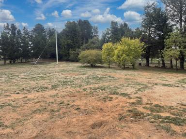 Lifestyle For Sale - NSW - Adaminaby - 2629 - Rural Splendour and Modern Comfort  (Image 2)