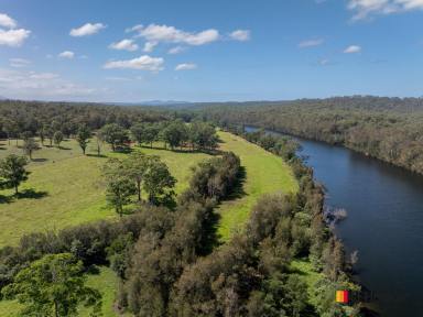 Cropping For Sale - NSW - Currowan - 2536 - THE RIVER OF DREAMS  (Image 2)
