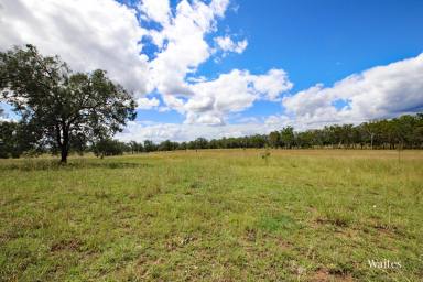 Other (Rural) For Sale - QLD - Ubobo - 4680 - "Waites"  (Image 2)