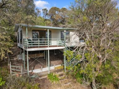 House For Sale - VIC - Sandy Point - 3959 - Highset holiday hideaway  (Image 2)