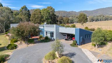 Lifestyle For Sale - VIC - Eurobin - 3739 - Architecturally Designed Eco-Haven with Income Potential  (Image 2)