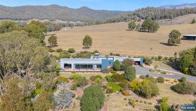 Lifestyle For Sale - VIC - Eurobin - 3739 - Architecturally Designed Eco-Haven with Income Potential  (Image 2)