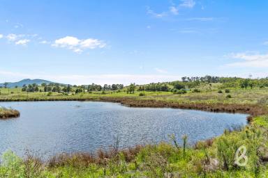 Other (Rural) For Sale - NSW - Glendon Brook - 2330 - SCENIC 133 ACRE RURAL BLOCK  (Image 2)