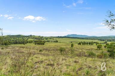 Other (Rural) For Sale - NSW - Glendon Brook - 2330 - SCENIC 133 ACRE RURAL BLOCK  (Image 2)