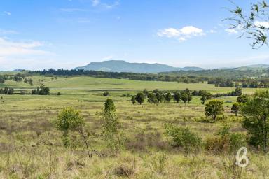 Other (Rural) Sold - NSW - Glendon Brook - 2330 - SCENIC 133 ACRE RURAL BLOCK  (Image 2)