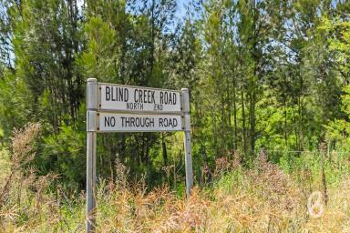 Other (Rural) For Sale - NSW - Glendon Brook - 2330 - 160-ACRE BUSH BLOCK – BLIND CREEK ROAD  (Image 2)