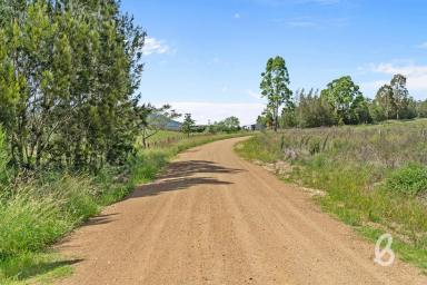Other (Rural) For Sale - NSW - Glendon Brook - 2330 - 160-ACRE BUSH BLOCK – BLIND CREEK ROAD  (Image 2)