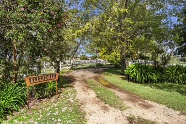 House For Sale - QLD - North Maleny - 4552 - Blue Ribbon Acreage in Prestigious North Maleny!  (Image 2)