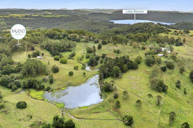 Acreage/Semi-rural For Sale - QLD - North Maleny - 4552 - Blue Ribbon Acreage in Prestigious North Maleny!  (Image 2)