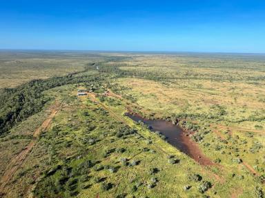 Livestock For Sale - NT - Arnold - 0852 - Hodgson River Station  (Image 2)