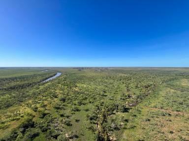 Livestock For Sale - NT - Arnold - 0852 - Hodgson River Station  (Image 2)