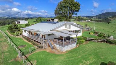 Mixed Farming For Sale - NSW - Dorrigo - 2453 - River Star  (Image 2)