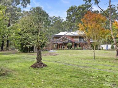 Acreage/Semi-rural For Sale - VIC - Nerrena - 3953 - 'Bundaleer'  (Image 2)