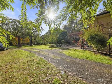 Acreage/Semi-rural For Sale - VIC - Nerrena - 3953 - 'Bundaleer'  (Image 2)