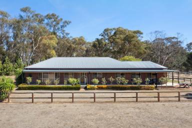 House For Sale - VIC - Strathfieldsaye - 3551 - Large Family Home & Developable Parcel of Land (STCA) In Highly Desirable Location  (Image 2)