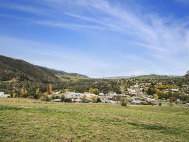 Residential Block For Sale - VIC - Omeo - 3898 - BUILD WITH VIEWS  (Image 2)