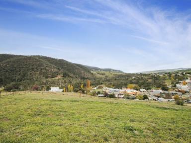 Residential Block For Sale - VIC - Omeo - 3898 - BUILD WITH VIEWS  (Image 2)