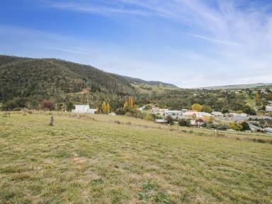 Residential Block For Sale - VIC - Omeo - 3898 - OVERLOOKING OMEO  (Image 2)