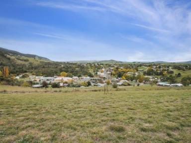 Residential Block For Sale - VIC - Omeo - 3898 - OVERLOOKING OMEO  (Image 2)
