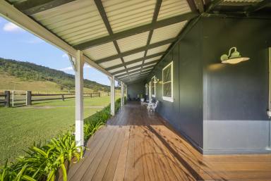 Acreage/Semi-rural Auction - NSW - Dungog - 2420 - Country Bliss Awaits - River, Mountains, and the Cottage of Your Dreams!  (Image 2)