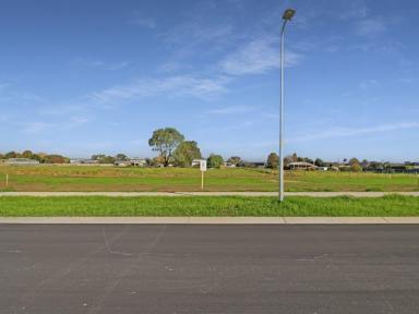 Residential Block For Sale - VIC - East Bairnsdale - 3875 - RURAL FEEL  (Image 2)
