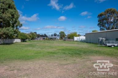 Residential Block For Sale - NSW - Deepwater - 2371 - Land Opportunity in the Heart of Deepwater  (Image 2)