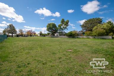 Residential Block For Sale - NSW - Deepwater - 2371 - Land Opportunity in the Heart of Deepwater  (Image 2)