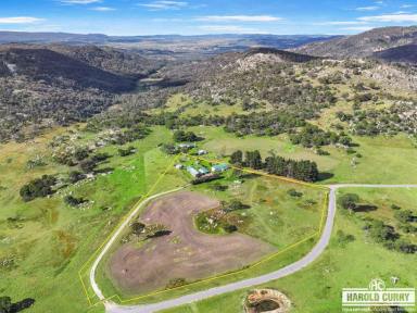 Acreage/Semi-rural For Sale - NSW - Tenterfield - 2372 - The Magic of Mt Mackenzie..... (Image 2)