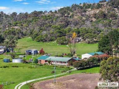 Acreage/Semi-rural For Sale - NSW - Tenterfield - 2372 - The Magic of Mt Mackenzie.....  (Image 2)