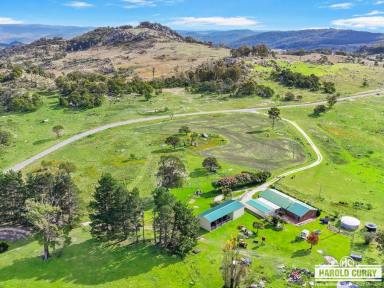Acreage/Semi-rural For Sale - NSW - Tenterfield - 2372 - The Magic of Mt Mackenzie.....  (Image 2)
