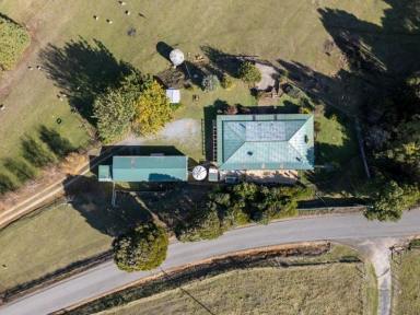 Acreage/Semi-rural For Sale - TAS - Weegena - 7304 - Charming Mudbrick Retreat on 3.5 Acres of Tranquil Countryside  (Image 2)