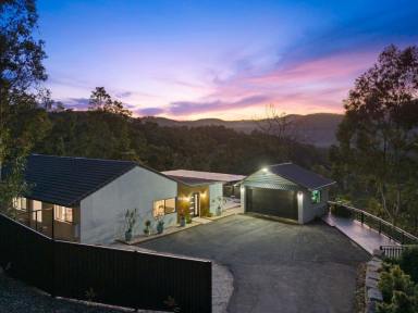 Acreage/Semi-rural For Sale - QLD - Mudgeeraba - 4213 - A Romantic Retreat in the Gold Coast Hinterland – A Heartfelt Home on Wallaby Drive  (Image 2)
