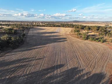 Cropping For Sale - NSW - Barmedman - 2668 - Small Farm Or Lifestyle Block  (Image 2)