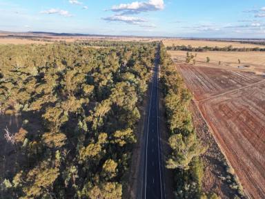 Cropping For Sale - NSW - Barmedman - 2668 - Small Farm Or Lifestyle Block  (Image 2)