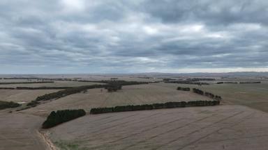Cropping For Sale - VIC - Ballyrogan - 3375 - HEALTHY BEAUFORT DISTRICT COUNTRY  (Image 2)
