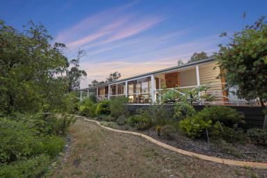 House For Lease - VIC - Invermay - 3352 - Flexible 6-Month Lease Options  (Image 2)