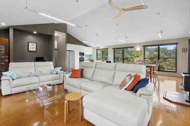 Acreage/Semi-rural For Sale - QLD - Elaman Creek - 4552 - Acreage Property with Scope for Mixed Farming & Rural Living, 10 minutes to Maleny!  (Image 2)