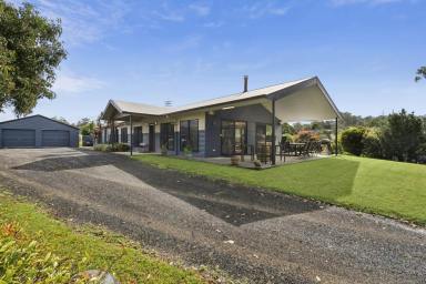 House For Sale - QLD - Elaman Creek - 4552 - Peace, Tranquillity and Stunning Views, 10 minutes to Maleny!  (Image 2)
