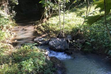 Acreage/Semi-rural For Sale - QLD - Elaman Creek - 4552 - Acreage Property with Scope for Mixed Farming & Rural Living, 10 minutes to Maleny!  (Image 2)