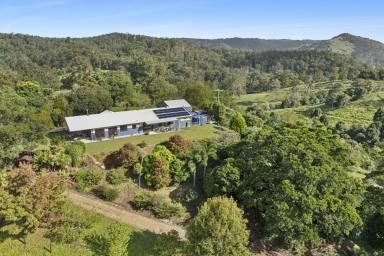 Acreage/Semi-rural For Sale - QLD - Elaman Creek - 4552 - Acreage Property with Scope for Mixed Farming & Rural Living, 10 minutes to Maleny!  (Image 2)