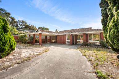 House For Sale - WA - Booragoon - 6154 - BUILD or RENOVATE ON BOSTON WAY  (Image 2)